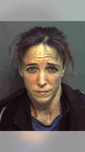 Astronaut Couple in Controversial Love Triangle Engaged