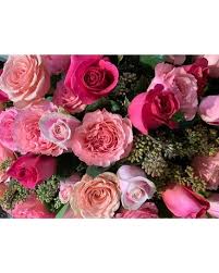 Here's a quick list of each month with the corresponding flower(s) and what there are different meanings for each colour. A Year Of Flowers In Birmingham Mi Blossoms
