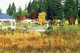 Close to echo lake, interurban trail, dale turner family ymca, gateway shopping center, cromwell park, richmond village shopping center. Cromwell Park Shoreline Wa Gaynor Inc