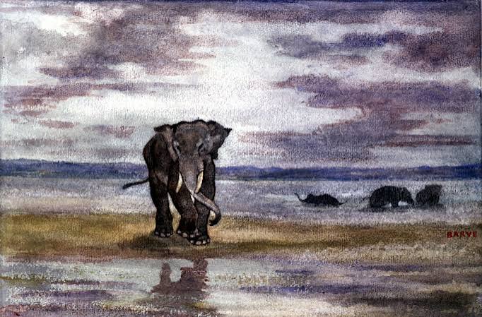 Antoine-Louis Barye, Elephants in Water, ca. 1850. Acquired by William T. Walters, before 1889, 37.819 | The Walters Art Museum