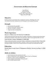 With a traditional resume template format, you can leave the layout and design to microsoft and focus on putting your best foot forward. Resume Format For Government Job Pdf Job Resume Examples Resume Examples Job Resume Template