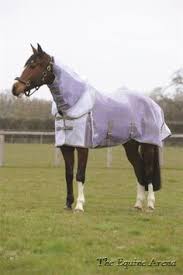 13 Best Weatherbeeta Horse Fly Sheets Images Horse Fly