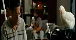 Matthew mcconaughey, sandra bullock, samuel l. For You Nicole The Hangover Stu S Song Doug Youtube Haha One Of My Favorite Scenes From This Movie Tiger Song Movie Scenes Songs