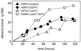 Ethanol production in the fermenter cultivations. Pure d-xylose is...