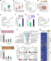 Certain cancers can recur many years after first being found and treated. Transcriptional Network Involving Erg And Ar Orchestrates Distal Less Homeobox 1 Mediated Prostate Cancer Progression Biorxiv