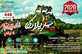 عروض سياحة وسفر In 2020 Comic Book Cover Comic Books Lull