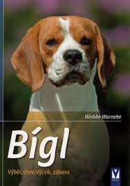 Image result for bígl