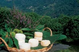 Toutes Les Saveurs De La Chataigne Lozere Tourisme