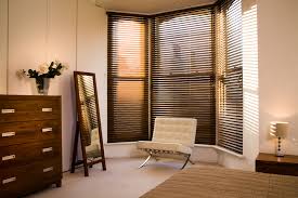 Image result for venetian wood blinds blog