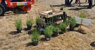 Innov Action 4 Evenements Et 13 Fermes Ouvertes Donnent A Voir L Innovation Aux Champs Agriculture Maraicher Lot Et Garonne