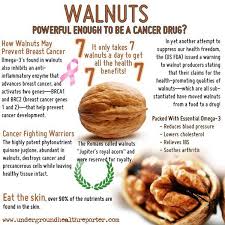 4 jenis kacang untuk diet. Jual Walnut 250gr Kacang Walnut Di Lapak Kebun Kita Bukalapak
