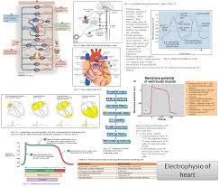 Please Click To See The Mind Map How To Read An Ecg Acute Rheumatic Fever And Rheumatic Heart D Pharmacology Nursing Nutritional Therapy Rheumatic Fever