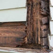 Homeowners Beware This Hidden Problem Could Cause Your House To Crumble Wood Termites Termite Damage Termite Control