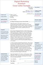 Digital Marketing Assistant Cover Letter Example Cv Plaza