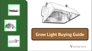 How to choose a grow light. Grow Light Buying Guide Choosing The Best Plant Light For Your Needs Youtube