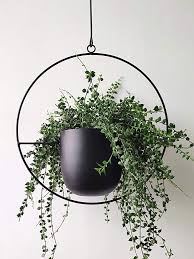 Shop.alwaysreview.com has been visited by 1m+ users in the past month Amazon Com Riseon Boho Black Metal Plant Hanger Metal Wall And Ceiling Hanging Planter Mode Metal Plant Hangers Hanging Planters Indoor Hanging Plants Indoor