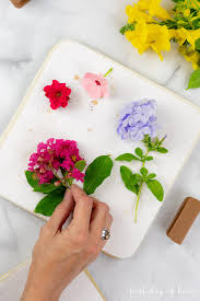 You can make your own pressed flowers with a flower press or by placing them. How To Press Flowers A Complete Guide For Beginners