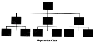 organisation chart meaning principle and merits