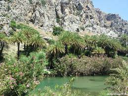 Check spelling or type a new query. Koritsia Gia Spiti Mikrh Apodrash Sthn Paralia Prebelh Notio Re8ymno