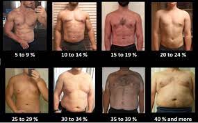 How To Estimate Your Body Fat Percentage Bf Ketogains