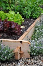 Kitchen Garden Update 2 Garden Edging Diy Garden Bed Raised Garden