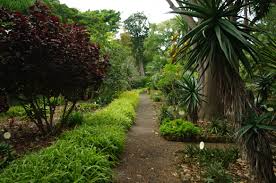 Islas Canarias Tenerife Jardin Botanico Puerto De La Cruz Jardin Botanico Islas Canarias Puerto De La Cruz