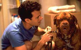 Check spelling or type a new query. Por Que Tom Hanks Esta Muerto En La Serie De Socios Y Sabuesos De Disney