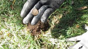 | bounty hunter metal detectors. Metal Detecting Dad And Daughter Bounty Hunter Gold Digger Youtube