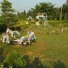 Here is well structured picnic spot, many games are here for children, elders can sit on rock or on the sitting places. Https Encrypted Tbn0 Gstatic Com Images Q Tbn And9gcq1zwbdopoh2xezasgxavvfvebcgfn X8arj9zj6ioflzkq3ctp Usqp Cau