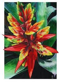 Flower Paintings Heliconia Watercolour And Ink Julia Patience Flower Art Floral Watercolor Botanical Painting