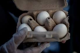 Poultry firm recalls nearly 1.6 mln dozen eggs over potential salmonella, US FDA says