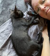 Sinclair Stratton (@sinclairstratton) · Instagram 照片和视频