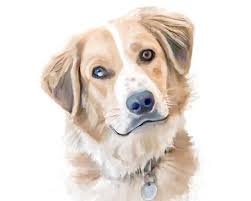 C $105.08 to c $518.81. Custom Pet Portrait Portrait From Photo Custom Pet Painting Etsy Custom Pet Painting Custom Pet Portraits Pet Portraits