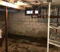 Mold needs moisture to grow. Have A Hot Humid Basement Jes Foundation Repair