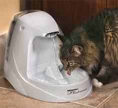 Customers who viewed this item also viewed. 15 Of The Best Pet Water Fountains Reviews Buying Guide Petmoneysaver