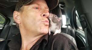 Anyone meeting at the arches today? Much love ✌️