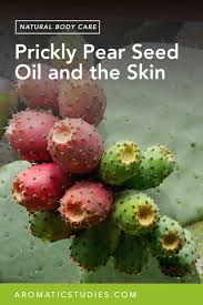 The best prickly pear oil to buy is going to be 100 percent pure and unrefined cactus seed oil. Prickly Pear Seed Oil And The Skin The School Of Aromatic Studies