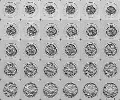 Morphometric Protocol For The Objective Assessment Of Blastocyst Behavior During Vitrification And Warming Steps Protocol Translated To German
