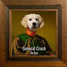 Check spelling or type a new query. Dog Portrait Ireland Capture Your Pets Character Picture Parcel