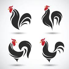 The white in this variation is caused by a recessive gene, and this can be easily lost with incorrect breeding selection. Creative Chicken Logos Vector Design 10 Https Www Welovesolo Com Creative Chicken Logos Vector Design 10 Utm Source Chicken Logo Chicken Art Vector Design