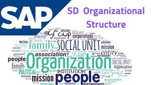 Sap Sd Organizational Structure Complete Guide Avas