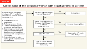 Amniotic Fluid Ppt