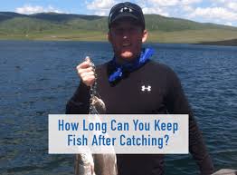There are other tips and tricks that anglers use to ensure freshness. How Long Can You Keep Fish After Catching Tilt Fishing