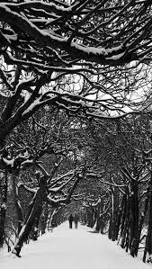 By Maria Laskowska With Images Seascape Photography Tree Tunnel Winter Trees