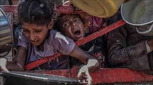 Doctors Against Genocide urges Trump ...