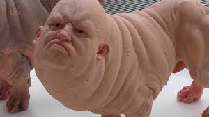 images?q=tbn:ANd9GcQ1_1DzSFfgpjrhc07iOY4EFRI46CJfi4osIrw04_Mv9OUjRPcoOw