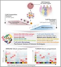 A desembargadora ilona márcia reis, presidente da comissão especial de concurso para provimento dos cargos de juiz substituto do tribunal de justiça do estado da bahia torna sem efeito. A Pan Cancer Census Of Dominant Tumor Immune Archetypes Biorxiv