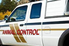 Pest control seagoville, tx, termites. Cxwidrzie5tvgm