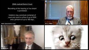 He was briefly unable to turn the filter off and required technical assistance. I Am Not A Cat Lawyer Using Zoom Cat Filter Tells Judge
