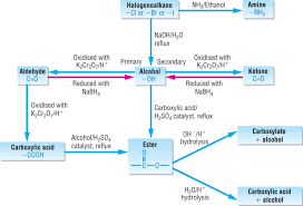 Organic Synthesis Of Aliphatic Compounds Mapa Mental